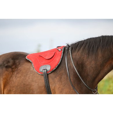 F.R.A. Bareback Pad Chico Brushed Leather Red Universal