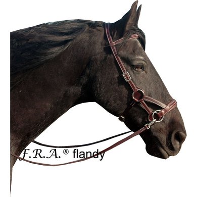 F.R.A. Bit-less Bridle Flandy Side Pull Leather Reins with Rubbergrip Brown