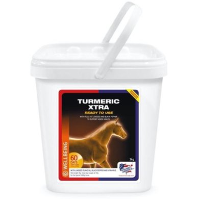 Equine America Turmeric 3kg