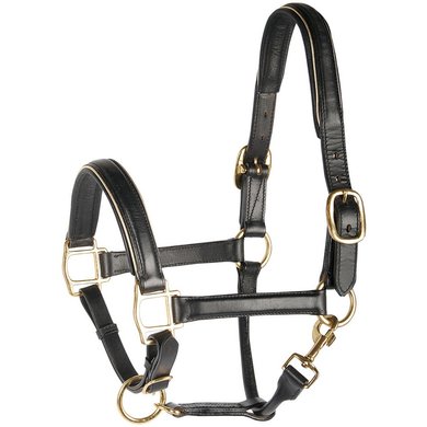 Harry's Horse Head Collar Leather with Piping Gold