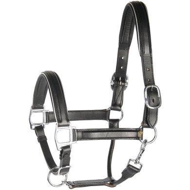 Harry's Horse Head Collar Leather with Piping Silver