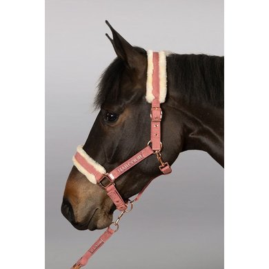 Harcour Head Collar Set Holly Old Pink