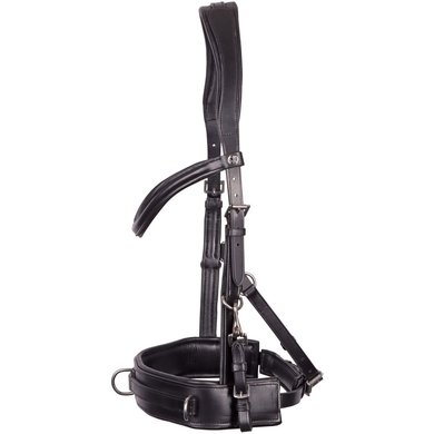 Harry's Horse Lunge Bridle Comfort Leather Black