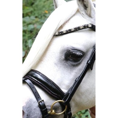 HB Bridle Special Black/Burgundy A-Pony
