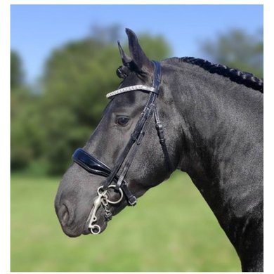 HB Showtime Double Bridle Dream For Ever Black