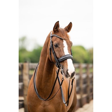 HB Showtime Bridle All You Needed Black/Black Glitter