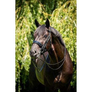 HB Showtime Double Bridle Special for You Black/Grey Glitter