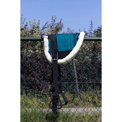 HB Showtime Little Sizes Turquoise Poney