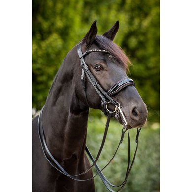HB Double Bridle Special for You Black/Burgundy