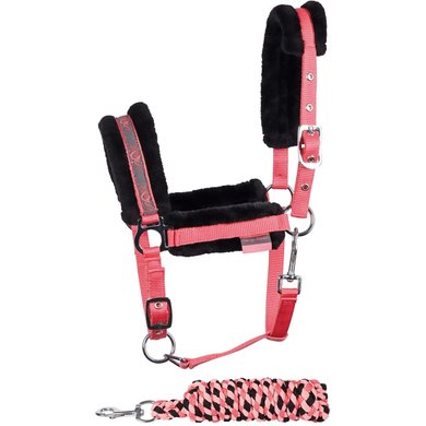 Harry's Horse Head Collar Set STOUT! Coral Coral