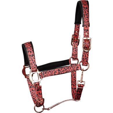 Harry's Horse Halsterset Just Ride Leopard Coral