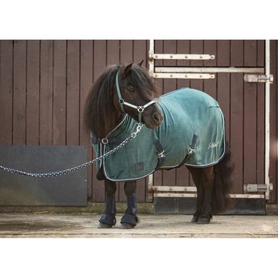 Harry's Horse Couverture Polaire STOUT! Teal Teal 85/115
