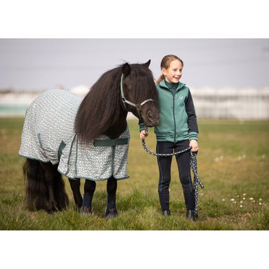 Harry's Horse Fly Rug STOUT! Teal Grey