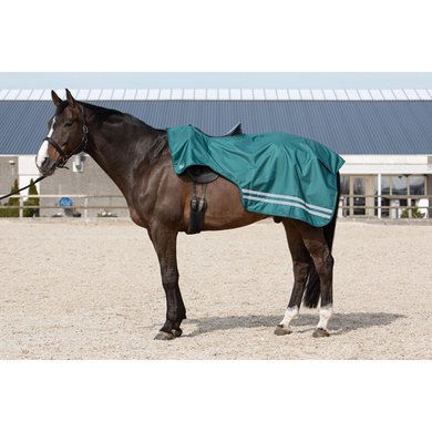 Harrys Horse Exercise Rug Waterproof 0g Fleece WI22 Mallard Green