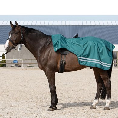 Harrys Horse Couverture de Marcheur Étanche 0g Fleece WI22 Mallard Vert XL