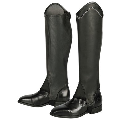Harry's Horse Chaps Asteroid Black