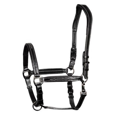 Harry's Horse Head Collar Leather Padded Supreme Black