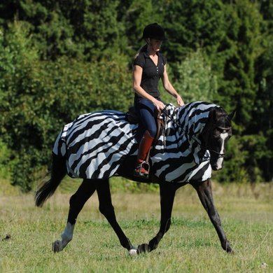 Bucas Fliegendecke Buzz-Off Riding Zebra