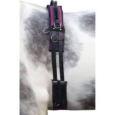 HKM Lunging Girth Canvas Whiteh Double Handgriff Navy/Pink