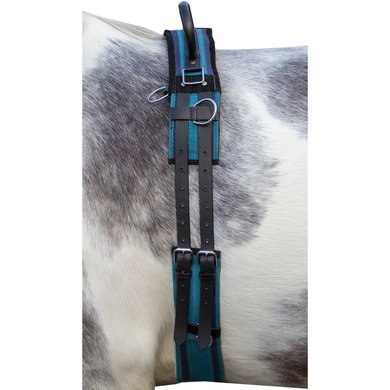HKM Lunging Girth Canvas with Double Handle Navy Shetland
