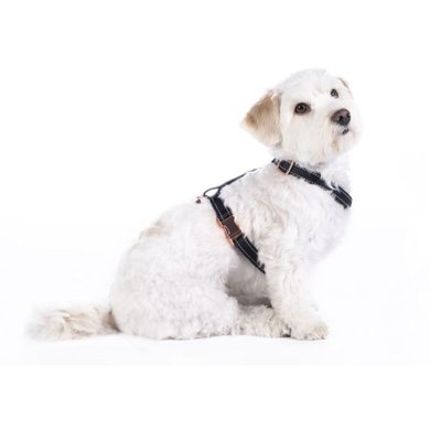HKM Dog Harness Anam Cara Basic Nylon Black/Rosegold