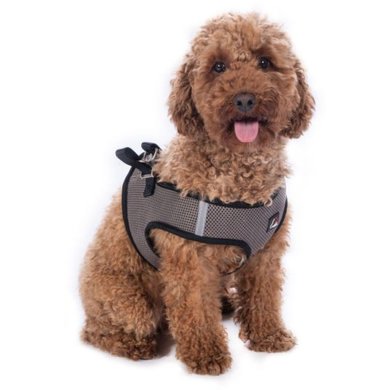 HKM Dog Harness Buddy Soft Stone Grey