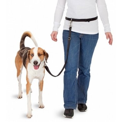 Pawise Doggy Bike Jogger Kit Hands Free