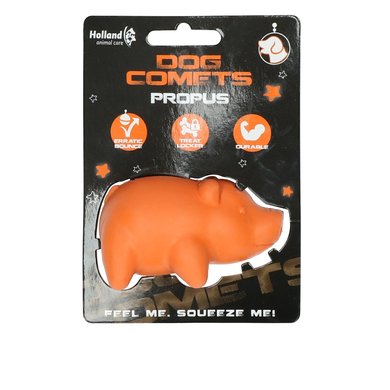 Dog Comets Propus Orange