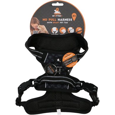 Spotted Pro! Dog Harness Anthracite