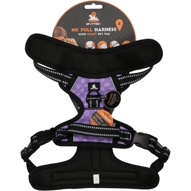 Spotted Pro! Dog Harness Purple
