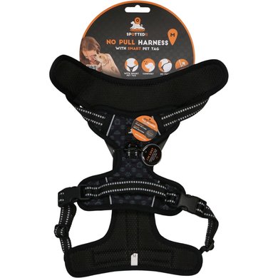 Spotted Pro! Harnais pour Chien Anthracite