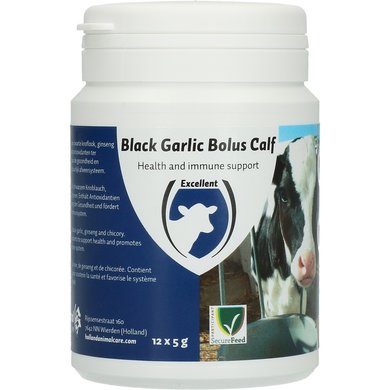 Excellent Bolus Black Garlic 12st