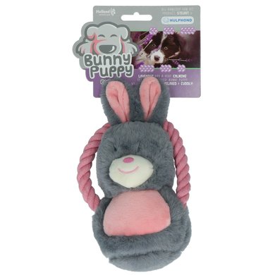 Bunny Puppy Ropey Swing