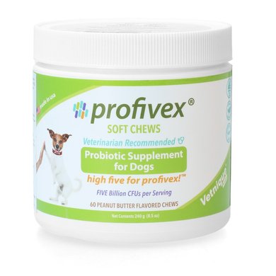 Profivex Supplement Soft Chew Probiotica 240g
