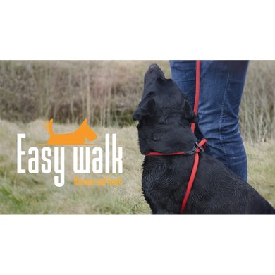 Agradi Easy Walk Mini Handmodel Rood 210cm