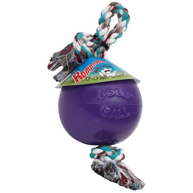 Agradi Jolly Ball avec Corde Violet 20cm