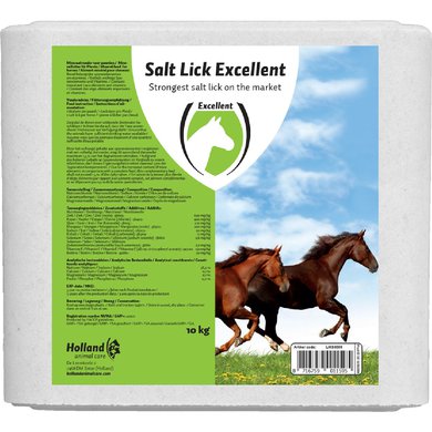 Excellent Salt Lick Horse Liksteen