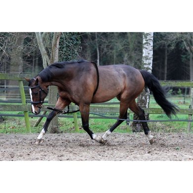 Horka Lunging Aid Cotton Black