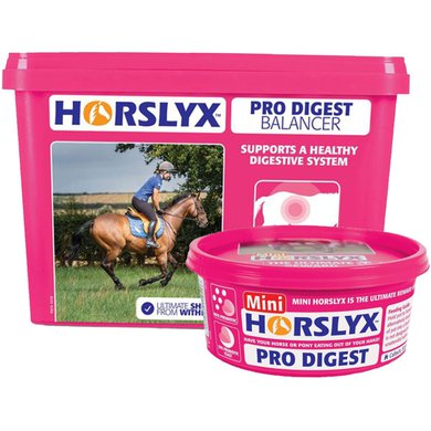 Horslyx Pro Digest Balancer