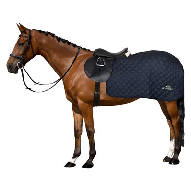 HV Polo Exercise Rug Francis Wool Navy