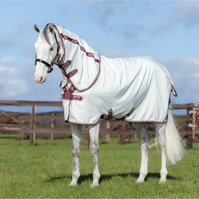 Amigo by Horseware Aussie Allrounder DF White/Green 100/152