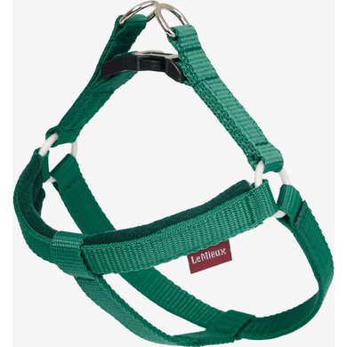 LeMieux Toy Dog Harness Evergreen