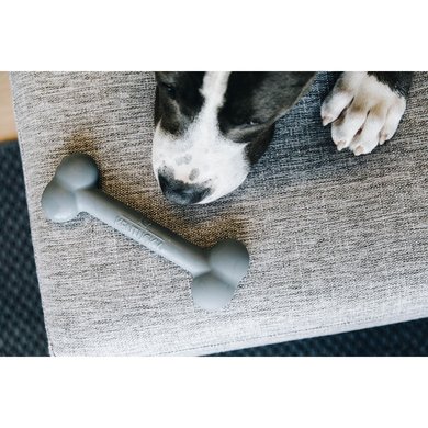 Kentucky Dog Toy Silicon Bone Grey