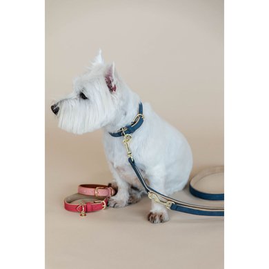 Kentucky Dog Collar Soft Vegan Leather Navy/Beige