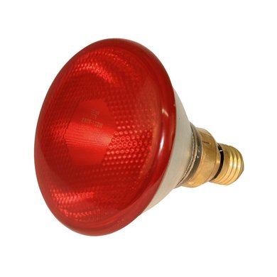Kerbl Infrarood Spaarlamp Rood