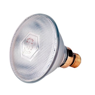 Philips Warmtelamp E 175w Wit Energiebesparend