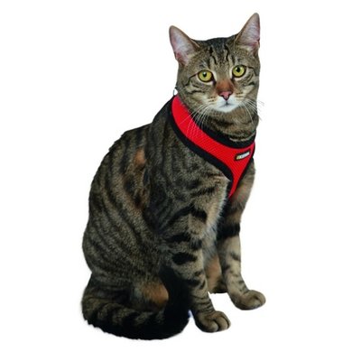 Kerbl Cat Harness Activ Red 120cm