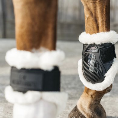 Kentucky Fetlock Boots Young Horse Vegan Sheepskin Black
