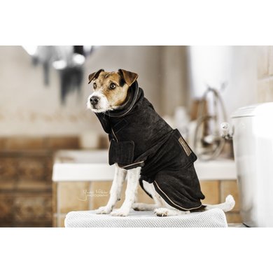 Kentucky Dog Coat Towel Black