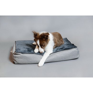Kentucky Honden Bed Soft Pillow